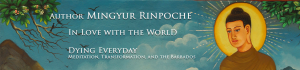 Mingyur Rinpoche: In Love With the World; Dying Everyday